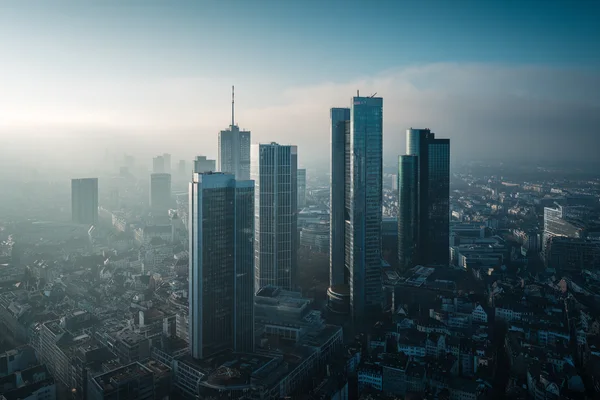 SAS i Altkom Akademia łączą siły. Nowe programy szkoleniowe z AI mają trafić do polskich firm