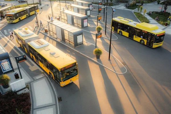 Metropolia napisała portal dla pasażerów sama. Pomogła sztuczna inteligencja
